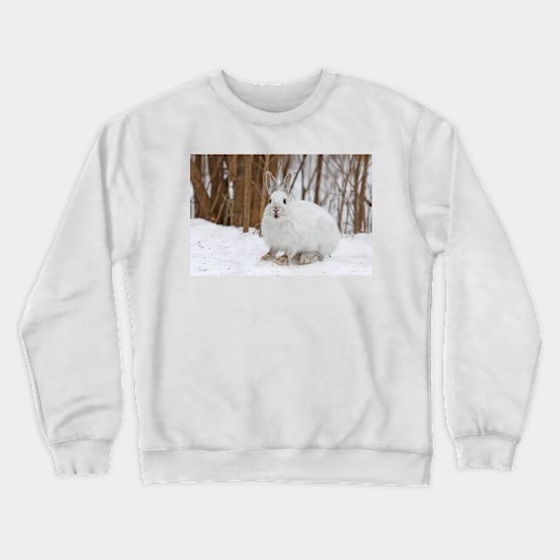 Snowshoe Hare Crewneck Sweatshirt by Jim Cumming